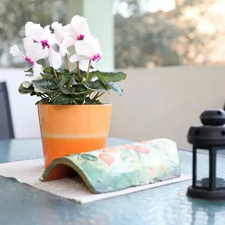 Zdravka Casa vacanze *